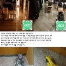 나무왁싱