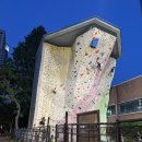 판교공원(인공암벽장 옆) | 보라매공원 인공암벽장 후기