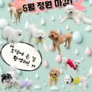 강생이네 | 2024년 6월 정원 마감! 7월 신규 모집/클래스 2기 계획