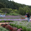 봉자마켓 이미지