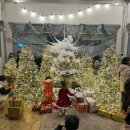 많은 구미 모에누베이커리, 크리스마스 홈파티, 노브랜드 코코아밤, 스타벅스 부쉬 드 노엘 케이크 후기