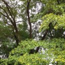 가창초등학교 이미지