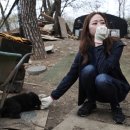 동중농장 이미지