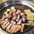 육탐