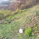 대구지방법원 영덕지원 이미지