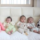 유나메디 네이버블로그