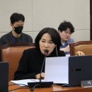 향정