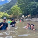 🏝️교활 대체 여행🏝️ 이미지