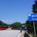 홍이관광주