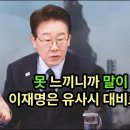 못 느끼니까 말이 많은 거에요 이재명은 유사시 대비로 서두르는 거고 이미지