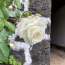 김녕한옥용암정원 이미지