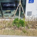 조경설계이룸