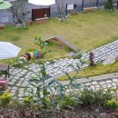 펫앤스토리 이미지