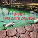 에버랜드 리버 트레일 어드벤처 예약, 방문 후기!