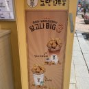 노란꼬무줄 이미지