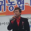 부귀농협김치 이미지