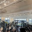 드라코짐 이미지