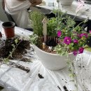 꽃과 식물로 정원가꾸기 이미지