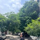 리허설 중…. 춤추는 발가락 | [경청스타즈✈️]인도 벵갈루루 한 달 살이 ep.4 | 성과 공유회 우수 참여자 발표/기념품 후기