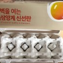 원삼양계 이미지