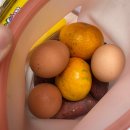 지비 그리다 | 2025년 12월 바이바이