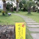 애플망고1947 | 애플망고 빙수 맛집 애플망고 1947 맛있는 후기