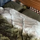 (주)코리아세븐남양주송산로점 | 나의 6월 ②탄◟(ˆ ⩌ ˆ)͜💐 픽켄드 포토이불, 스노우ai프로필, 산타마리아노벨라 로사가데니아, 위글위글...