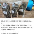 (텃밭정원)서로 돕고 나누고 아끼며 보호하는 관계는 지속된다