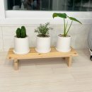 미래꽃화분 이미지