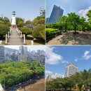 세화 교차로 이미지