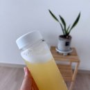랩스코리아 | 피부 보습 + 에너지 + 항산화까지! 퓨어랩스 먹는히알루론산, 비타민C, 코엔자임Q10 후기