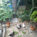 능성농장 이미지