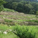 천수농장 이미지