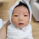 양준모공인중개사사무소태솔 이미지