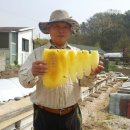 참살이농장 이미지