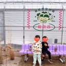 헬리팜커피 | 대구 근교 주말에 아이랑 가볼만한곳 청도 팜하리 체험농장카페
