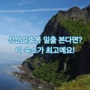 성산읍 푸른마을 | 성산일출봉 일출 보러 가는 길, 평점 9.5+ 숙소 BEST 5
