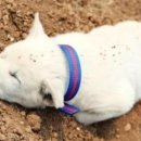 가정할머니경로당 이미지