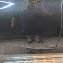 한주금속1공장 자판기 | [벤츠 GLE 450d복원] 수지 신봉동 킥보드 접촉사고 조수석 도어 찌그러짐 판금도색 자차보험수리 후기!