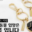 포인사이트