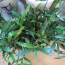 열미리보건진료소 이미지