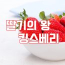 킹스베리 만년설 설향 등 딸기의 종류와 제철 효능까지 !! 이미지