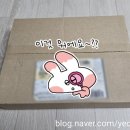 코드공예 카드지갑 DIY | 뜨레드앤 코드공예 홀스빗 카드지갑 만들기키트 | 고급스럽고 예쁜 DIY 카드지갑
