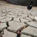 삼덕스포츠