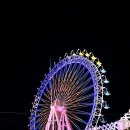 속초상회 | 속초아이 뷰 속초해수욕장 조개구이 조개상회 솔직 후기 내돈내산