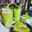 제주아이스뮤지엄 종합전시관 | 오설록 티뮤지엄 입장료 기념품 근처 카페 식당 볼거리 티코스 예약 총정리