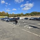 남양우도레인보우교 이미지