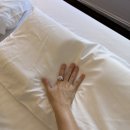 용호농장 | [목포여행] Day.3 가락지 죽집의 쑥꿀레, 유달산 자락길, 송학낙지회관, 완벽한 청무화과를 찾아서...
