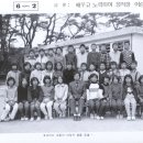주생초등학교 Daum카페