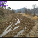 광주동초등학교충효분교장 이미지